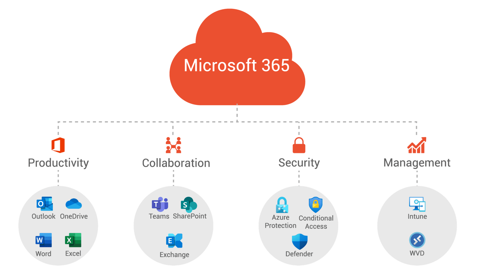 Microsoft Office 365 Services